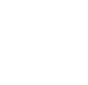 Liesl Hays Logo